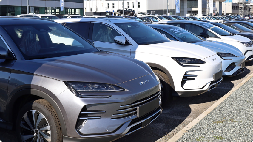 BYD China 