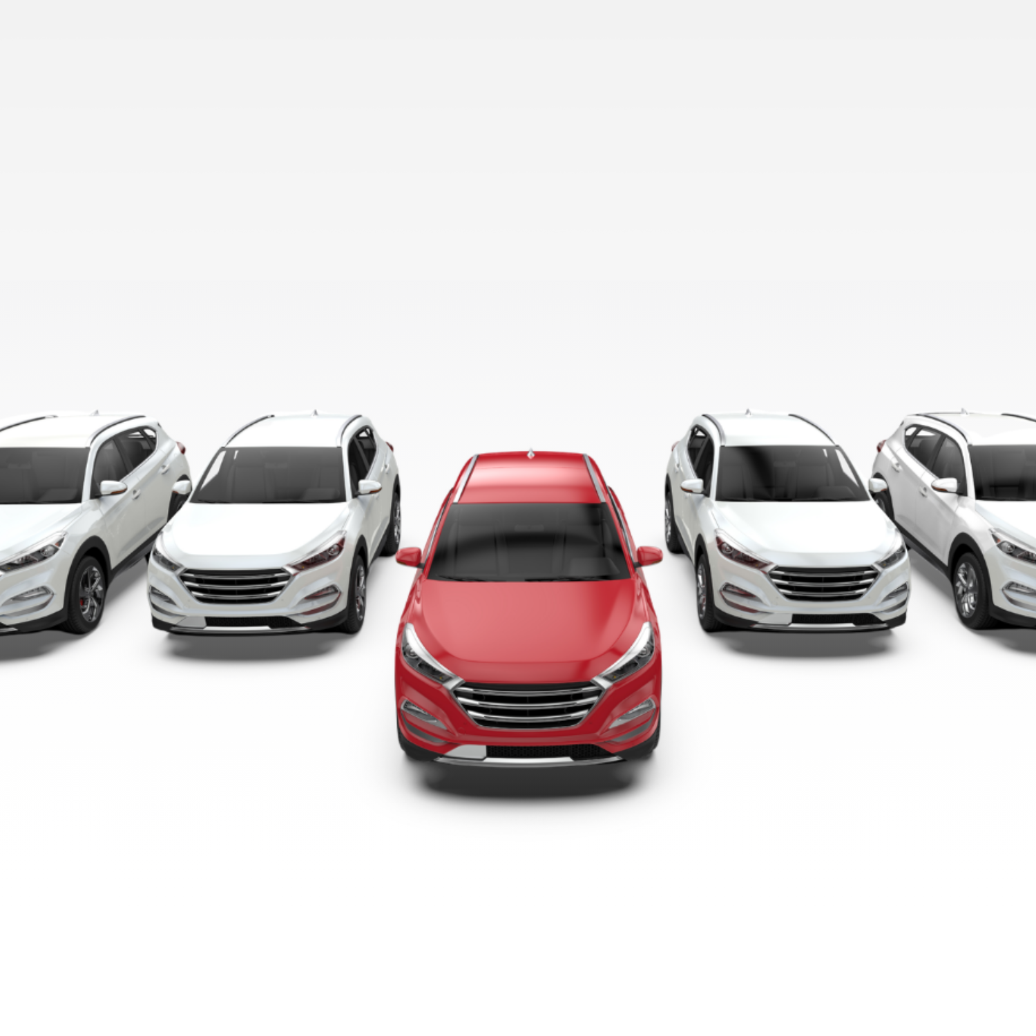 Leasing & Fleet Management